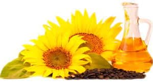 SUNFLOWER OIL