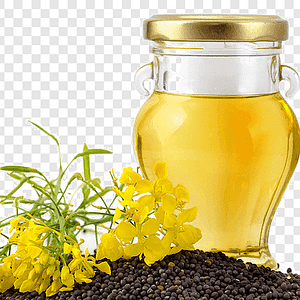 Mustard Oil